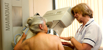 What is a Mammography